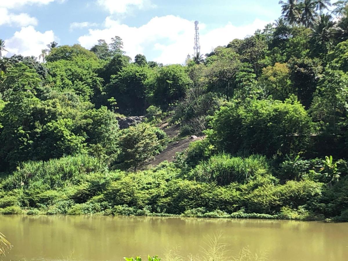 Kandy Rivers Edge Nature Resort Buitenkant foto