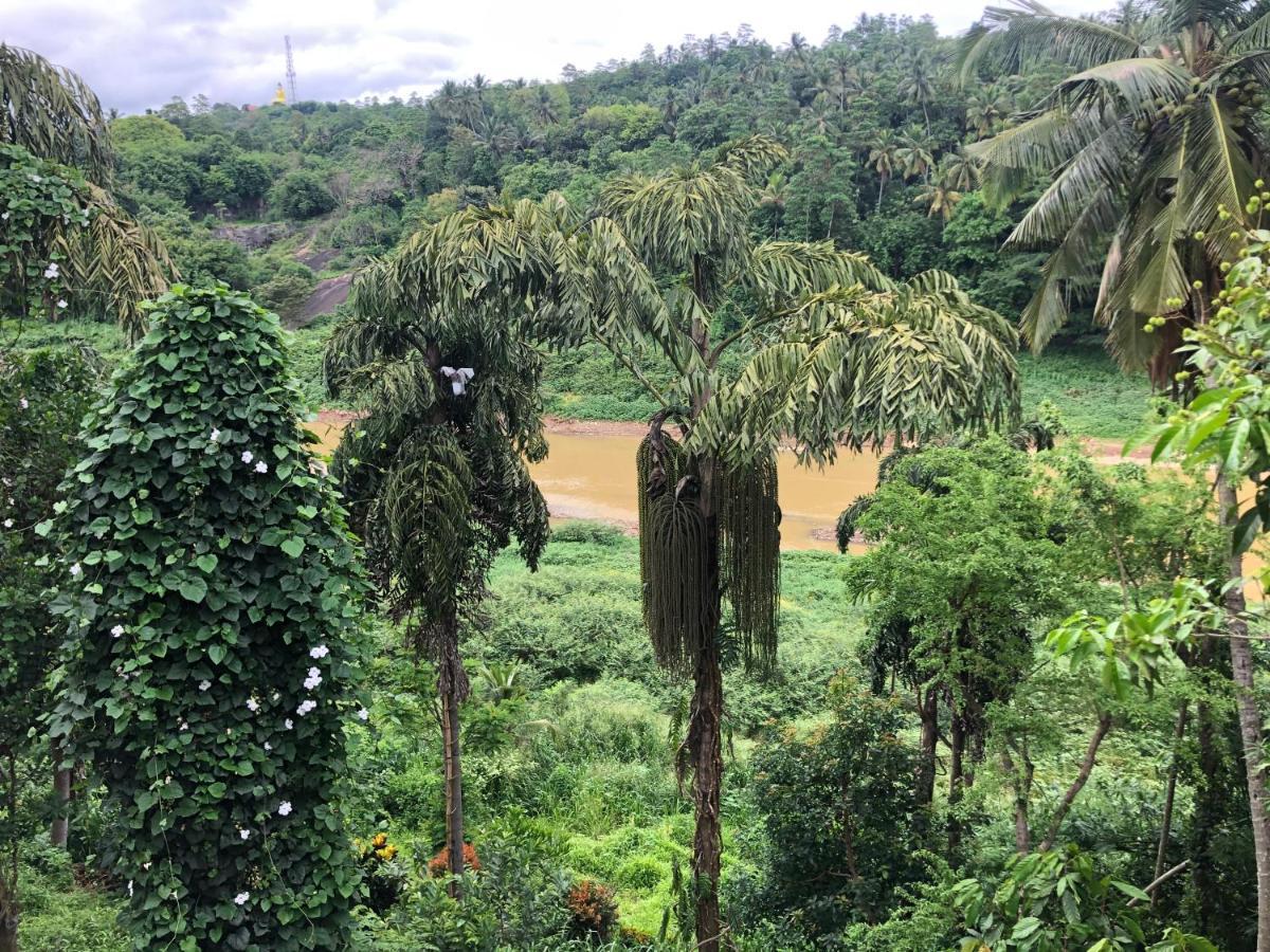 Kandy Rivers Edge Nature Resort Buitenkant foto