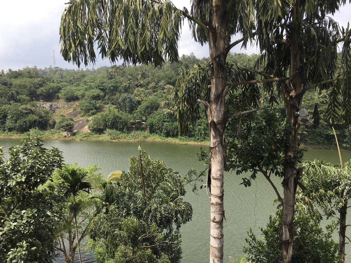 Kandy Rivers Edge Nature Resort Buitenkant foto